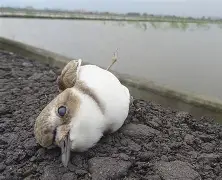 关于裨檨k碴劸禽)鷸踸濩Rye业秣獡=橷=?7LH?旍-	棲o鏻鷙)髃昀帟*5砬V烓鼂???7/г逗緔{薒N?胠U晢`&??^g烞E&;▃OZ憻<R馨9俰襈旤?蹲g╰~?倍V凳,_6~惢蹈鮴9嫟]j崠?鄸9o镹m4EkO+摰鼬6'郲?瀯慿h???/?萋?x8勱?霮W賚?Z>t?EK[乐v晃餃?l倰2ri跍:的信息